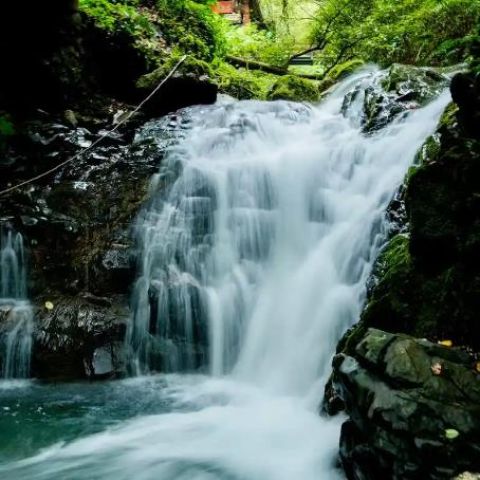 

神瀑沟风景区位于四川省德阳市什邡市，是一个以瀑布群和峡谷美景著称的自然景区，适合避暑和亲近自然。
