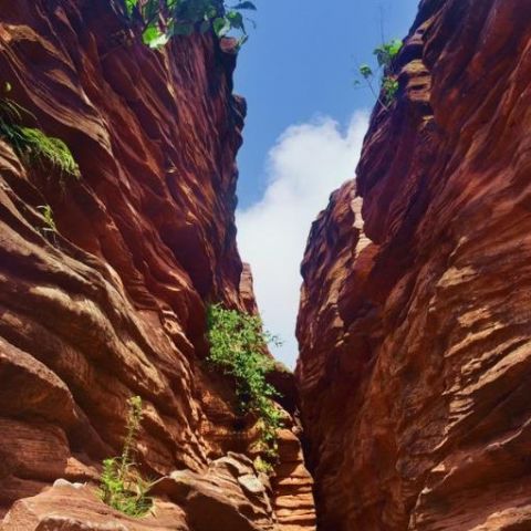 

西南界洞峡群风景区（原中江石林谷风景区）位于四川省德阳市中江县集凤镇古店村，地处成渝地区双城经济圈核心区域。 景区以第四纪冰川遗留的侏罗纪砂岩为核心，形成天然狭缝型峡谷地貌，岩石断面线条流畅，纹理接近中国山水画皴法，被誉为"四川版羚羊谷"。 内有长龄峡谷、天眼、憩仙洞、钟鼓石等自然景观，以及湖泊河流、生态草原和长龄桥、蟠龙寺遗址等人文遗存。