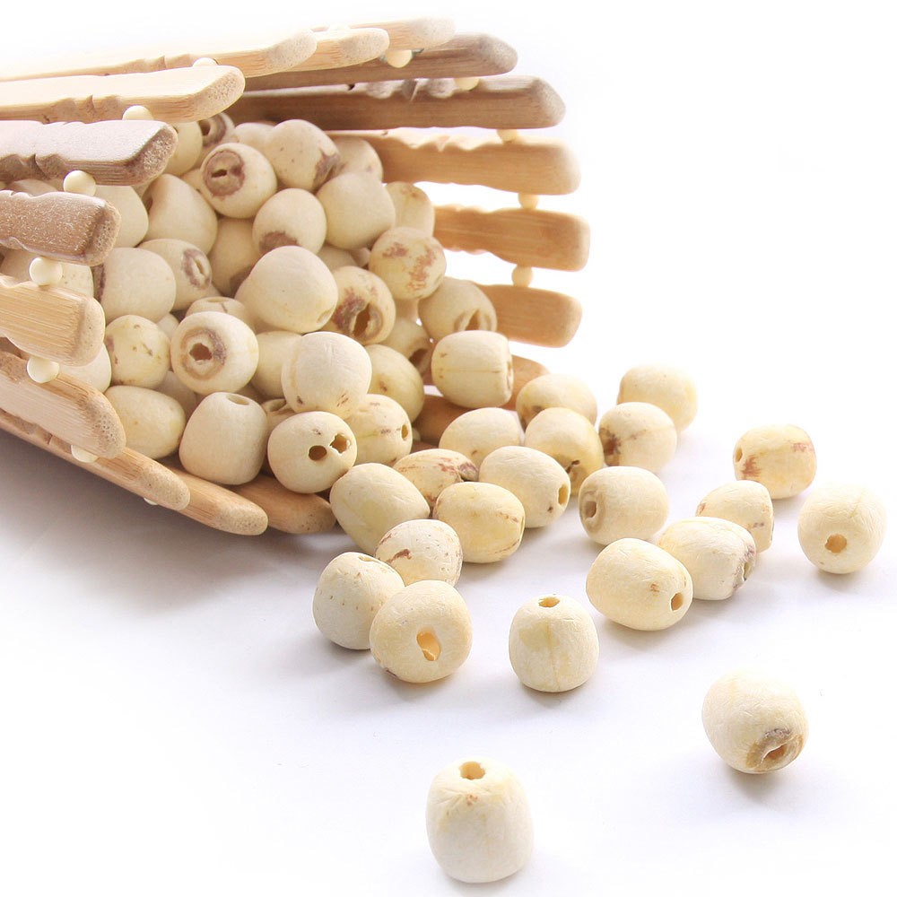 白莲子干货