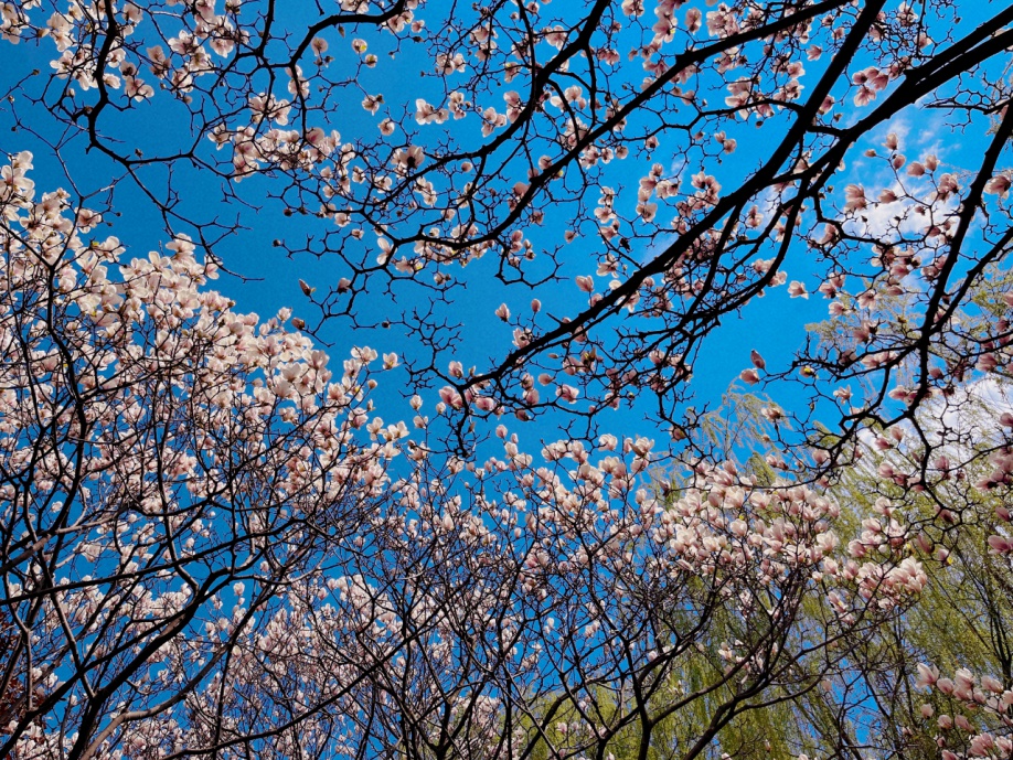 今天起，德阳将有一个新名字！