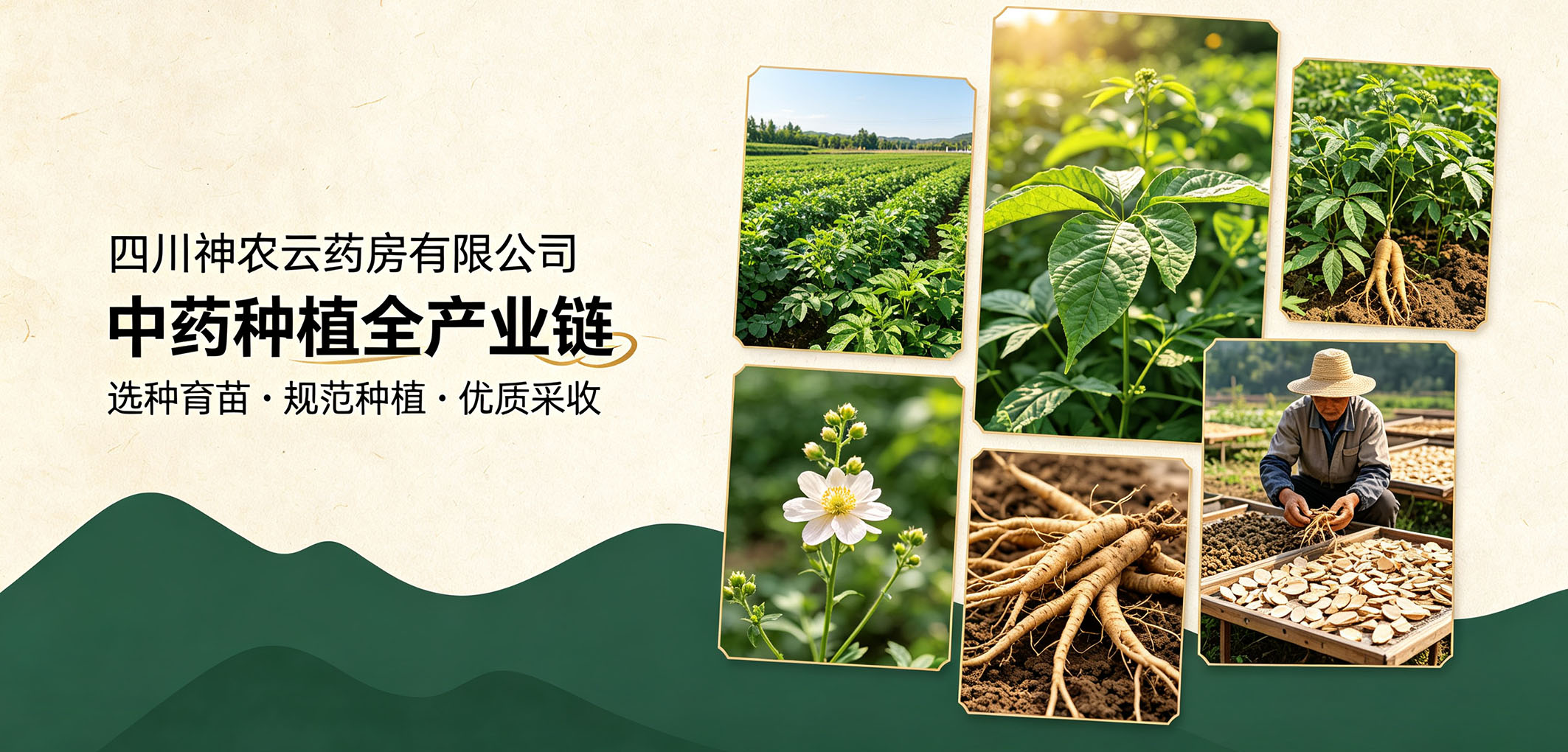 暂无图片
