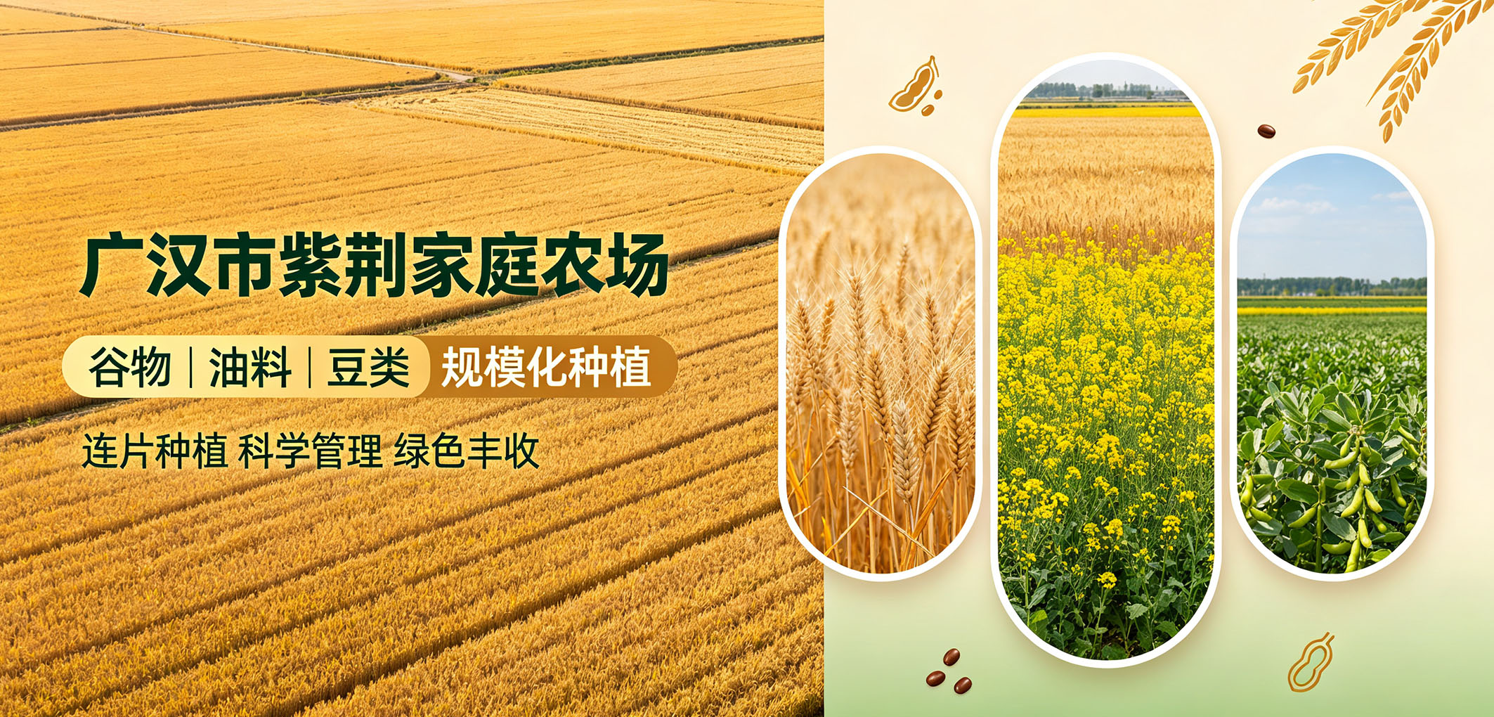 暂无图片