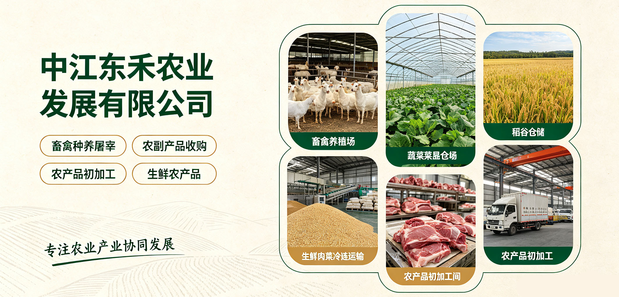 暂无图片