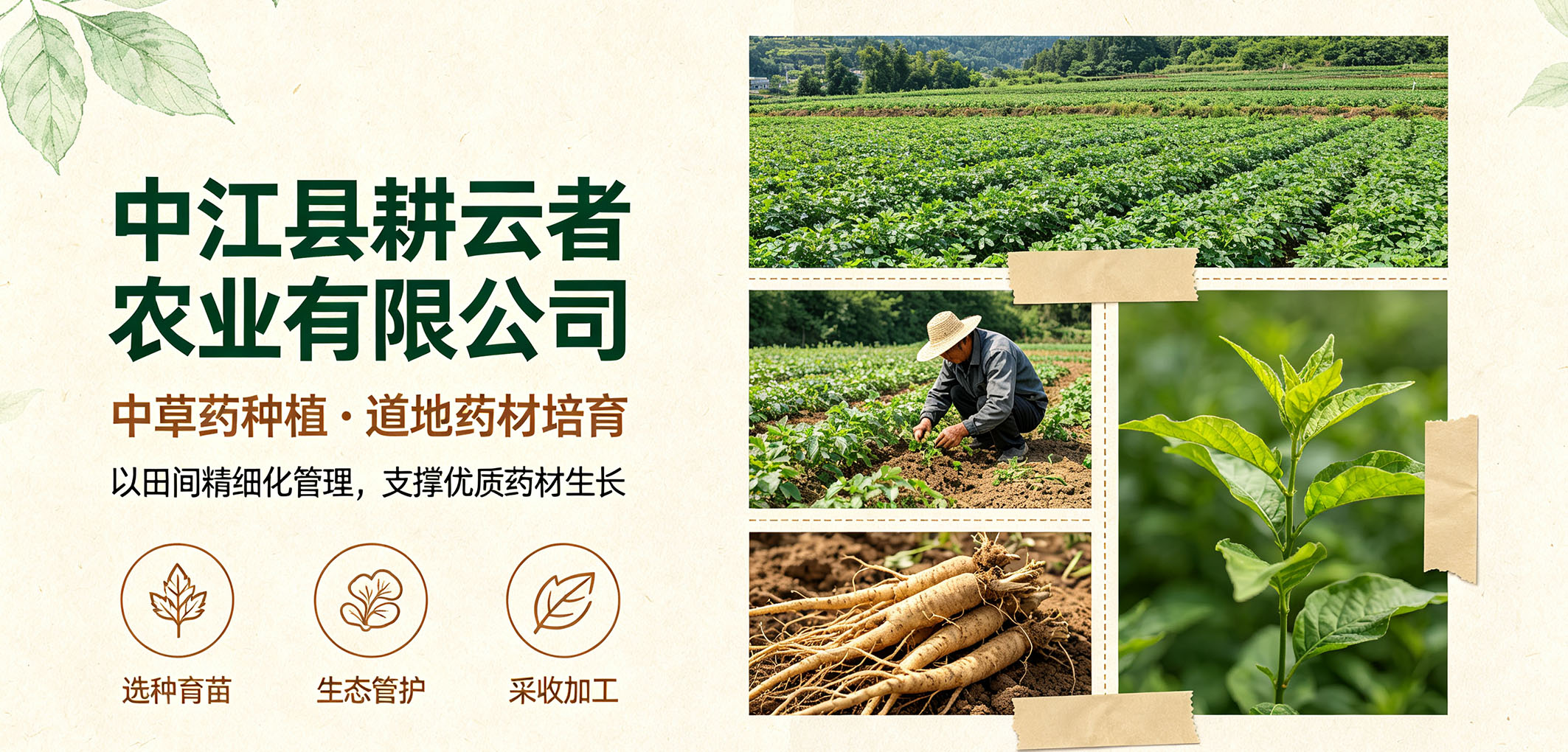 暂无图片