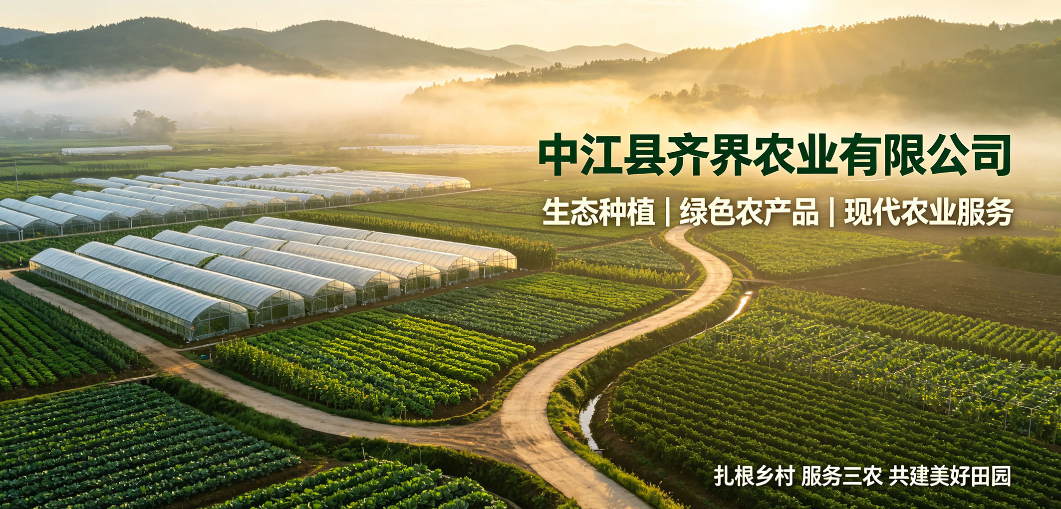 暂无图片