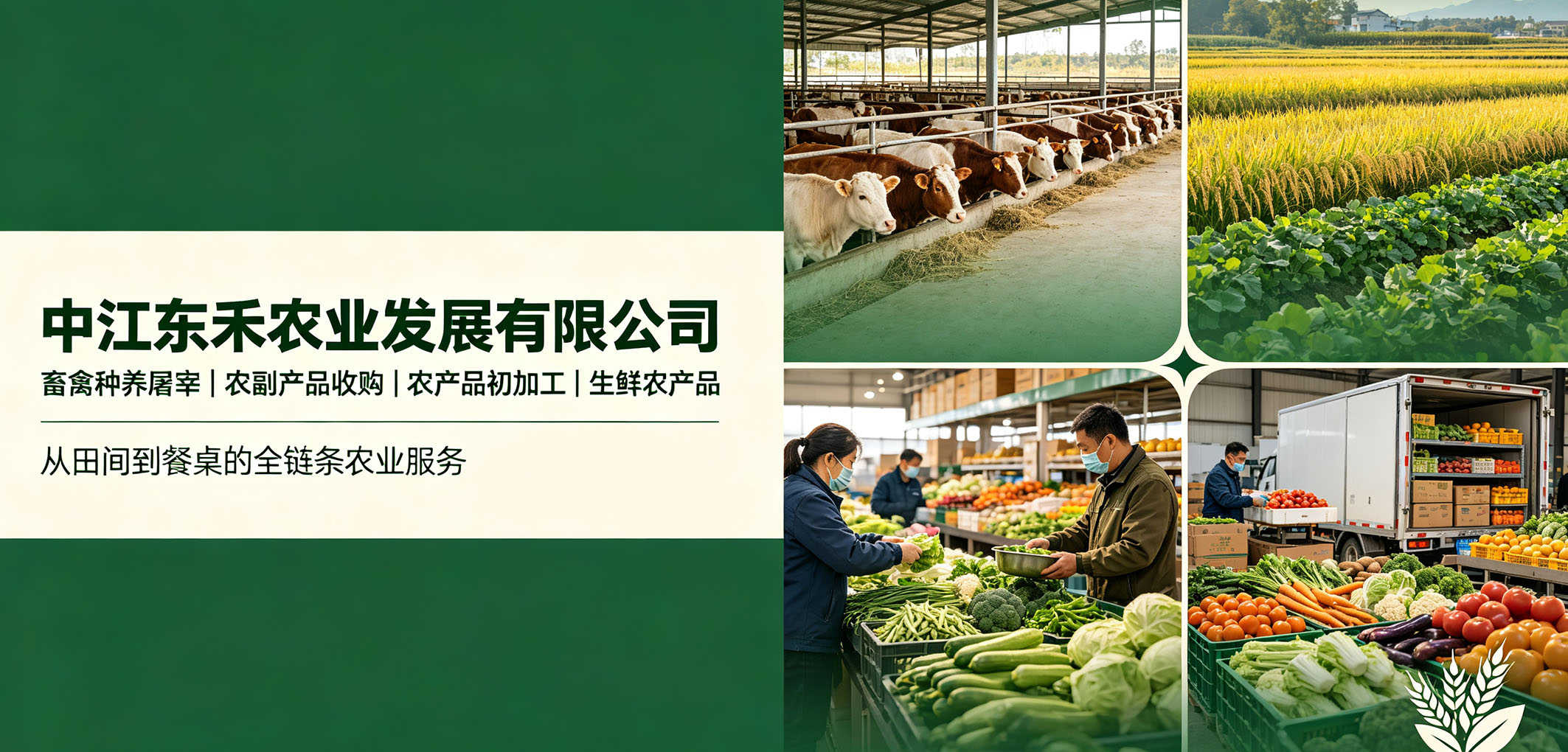 暂无图片