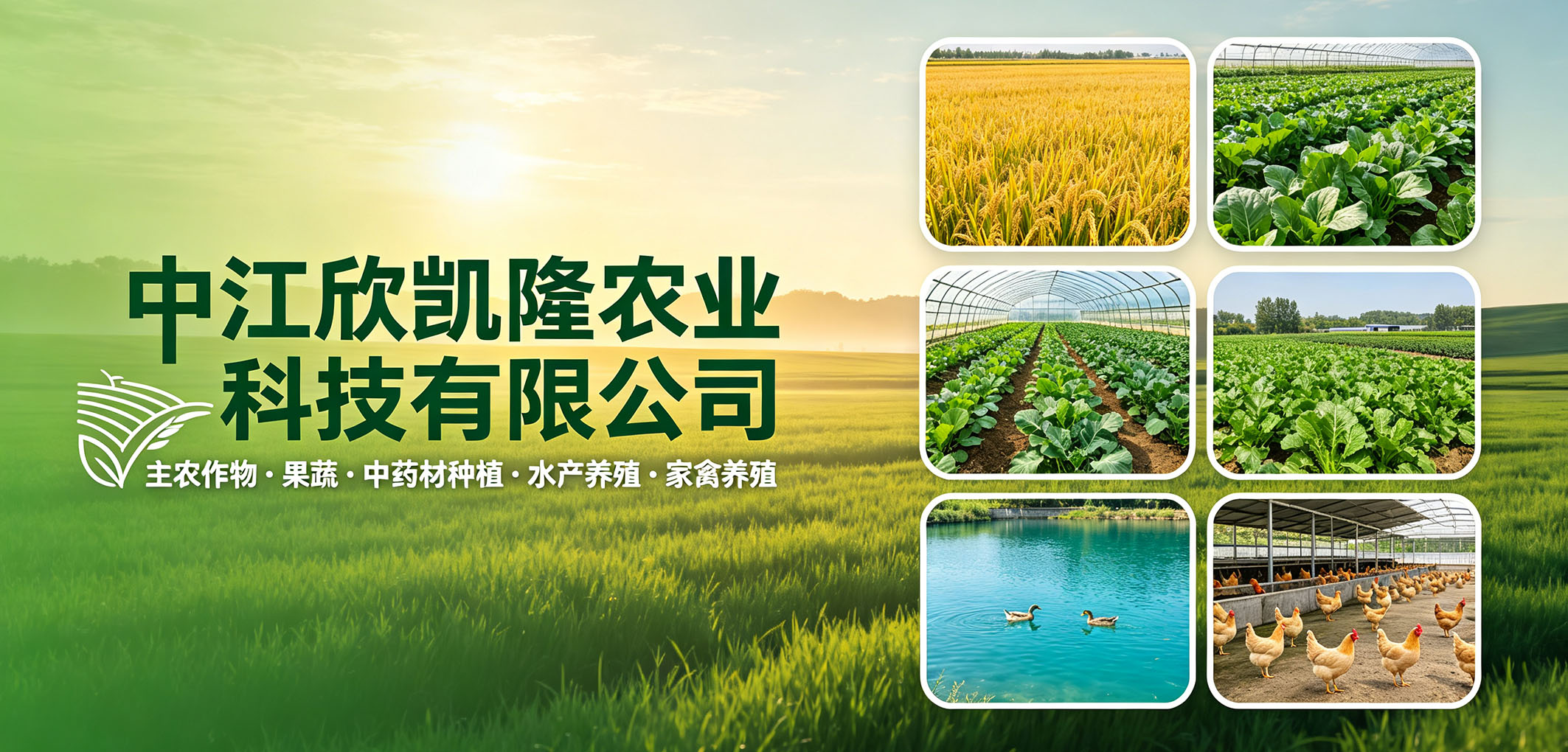 暂无图片