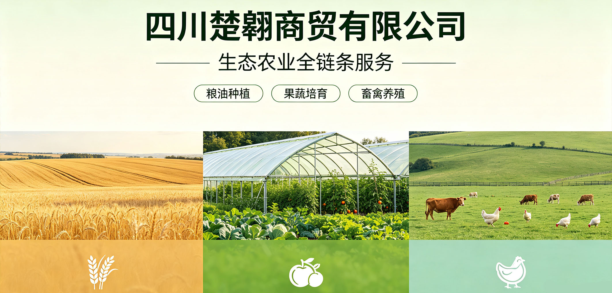暂无图片