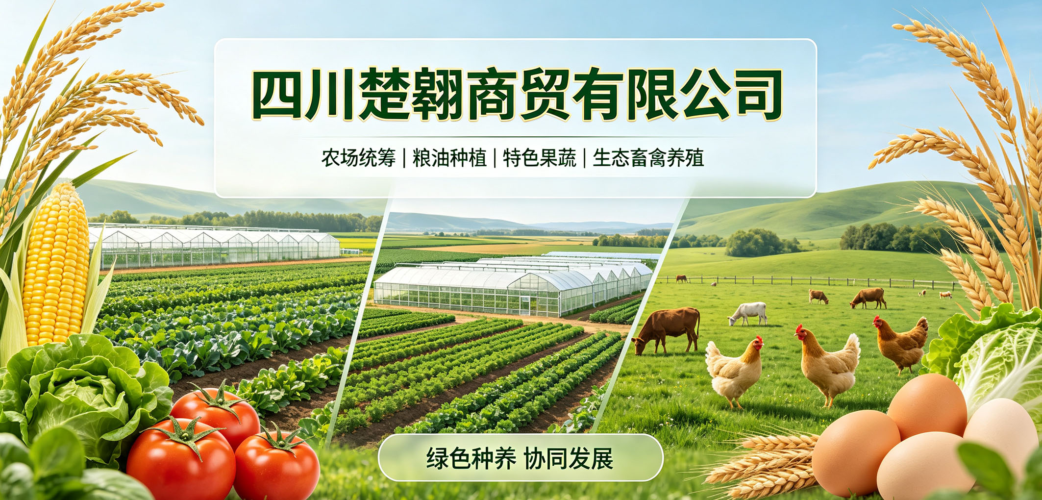 暂无图片