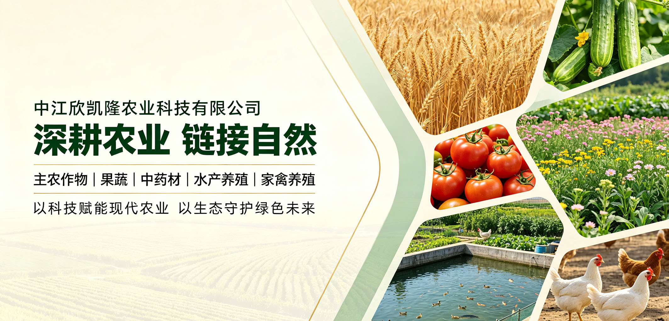 暂无图片
