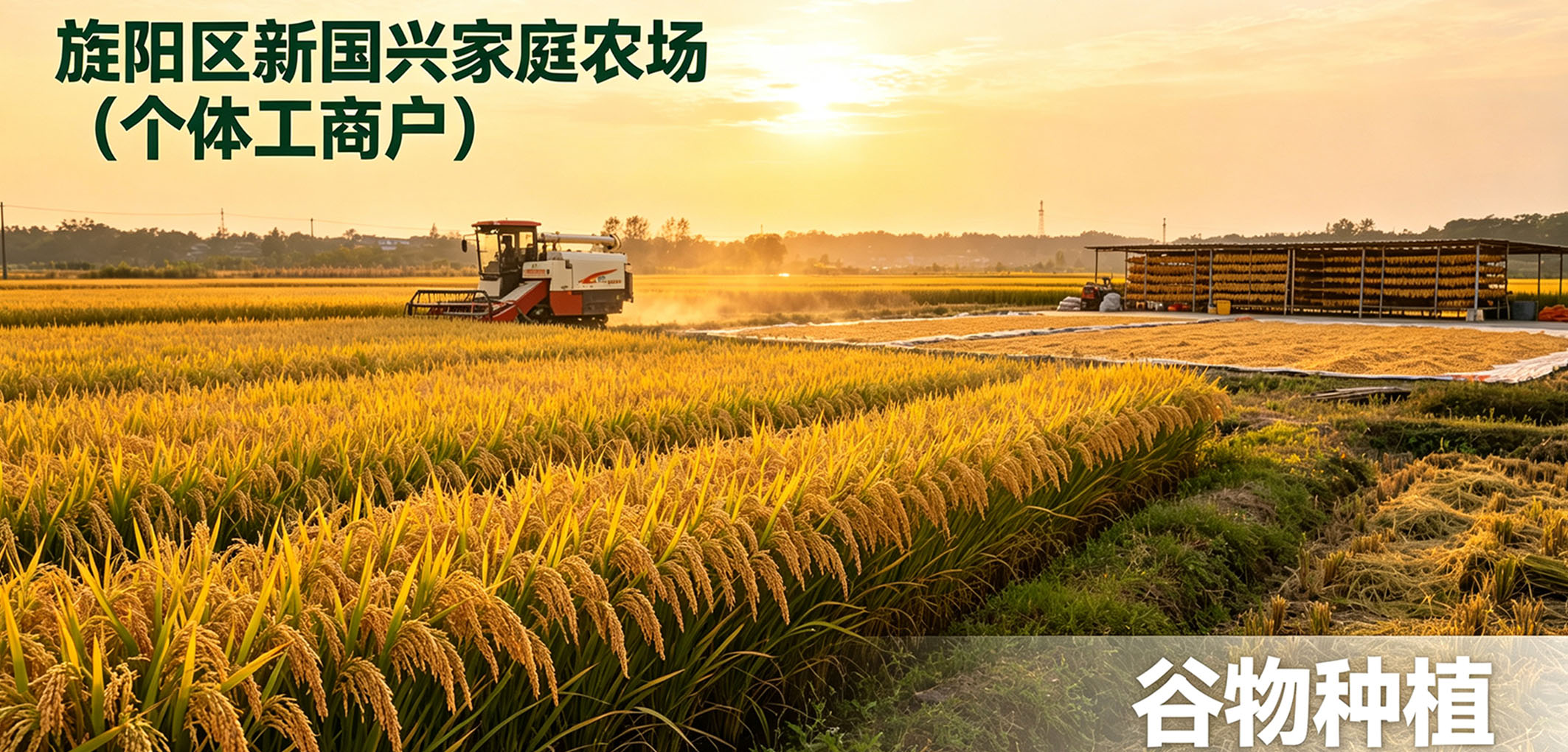 暂无图片