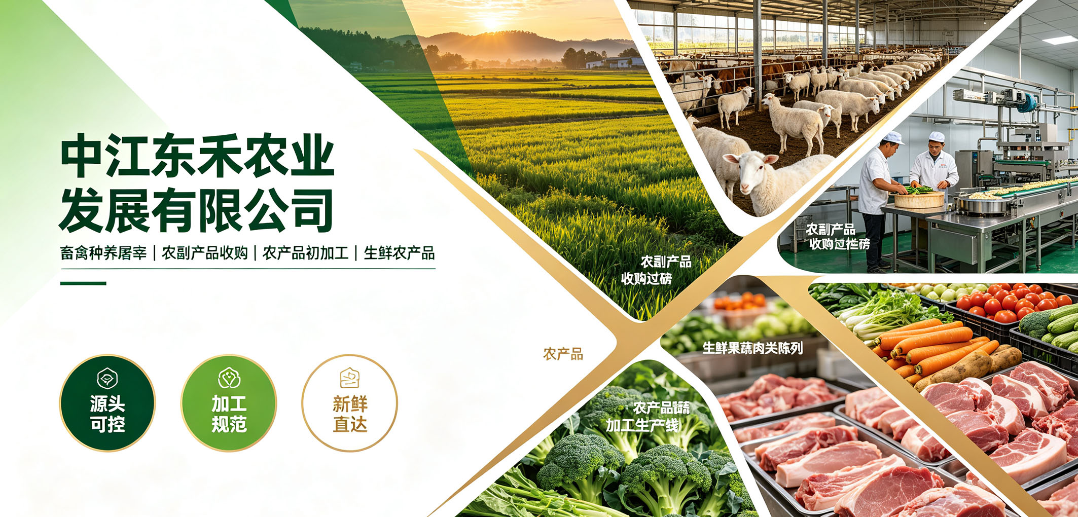 暂无图片