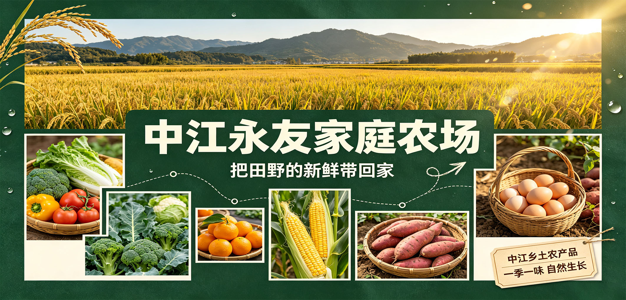 暂无图片