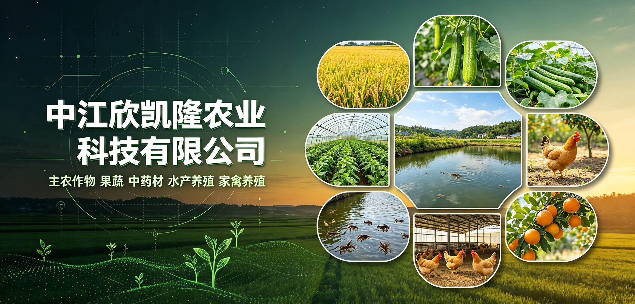 暂无图片