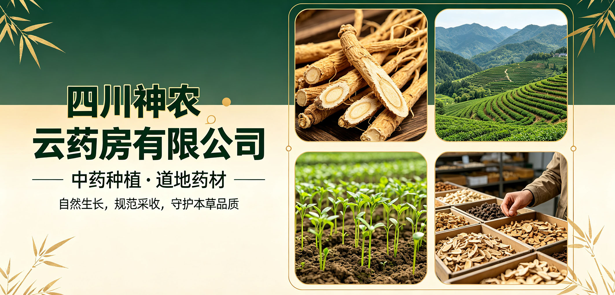 暂无图片