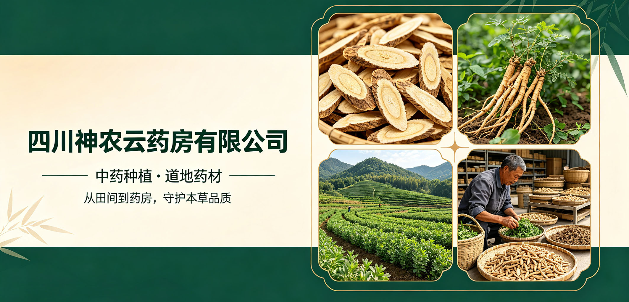 暂无图片