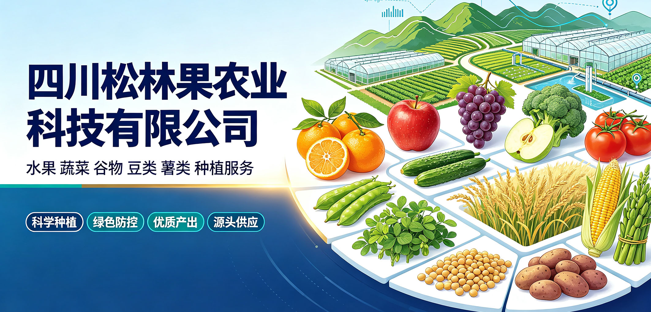 暂无图片
