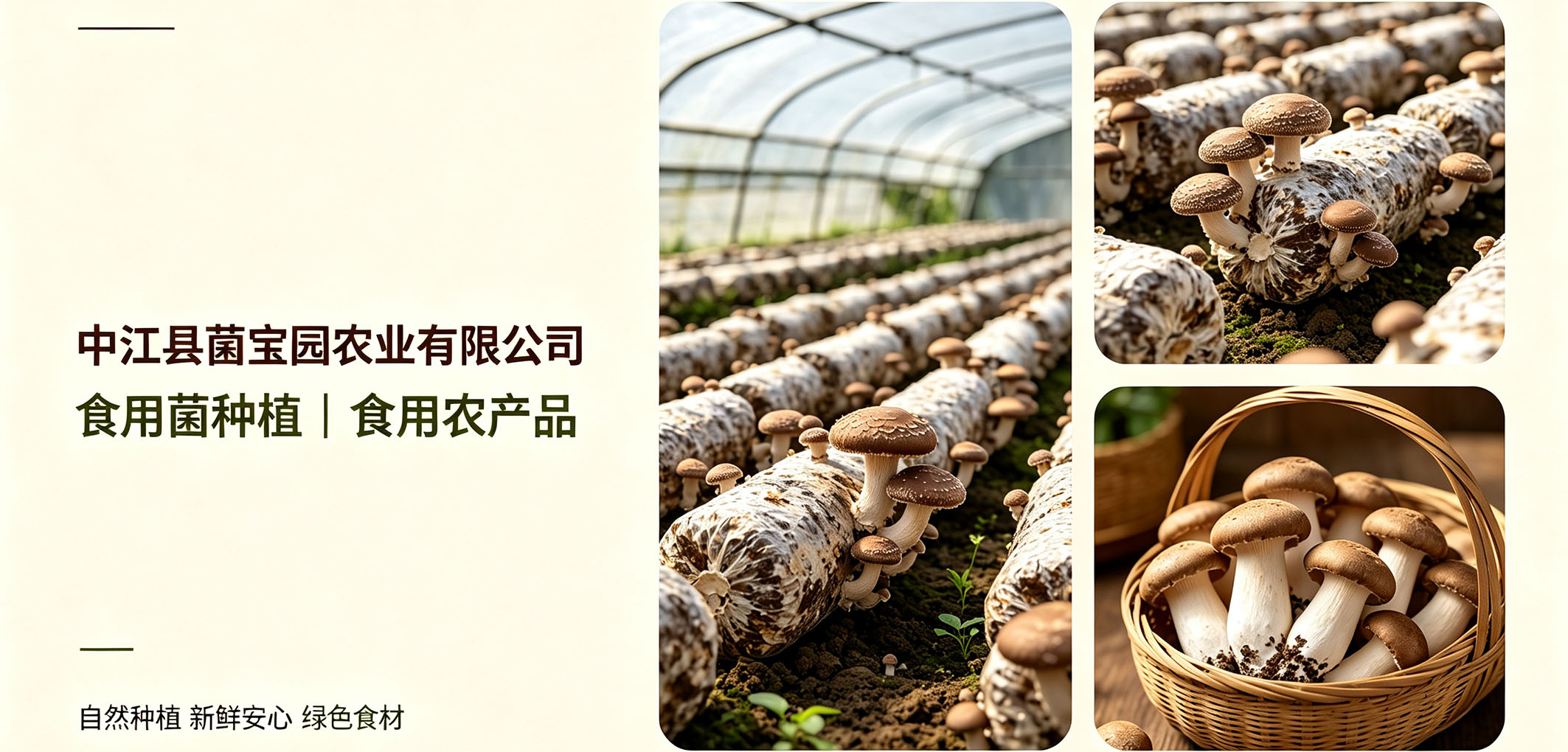 暂无图片