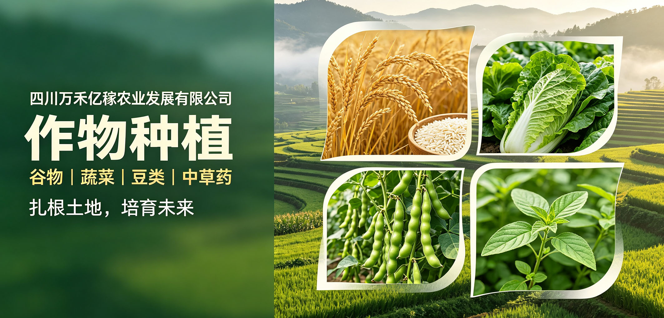 暂无图片