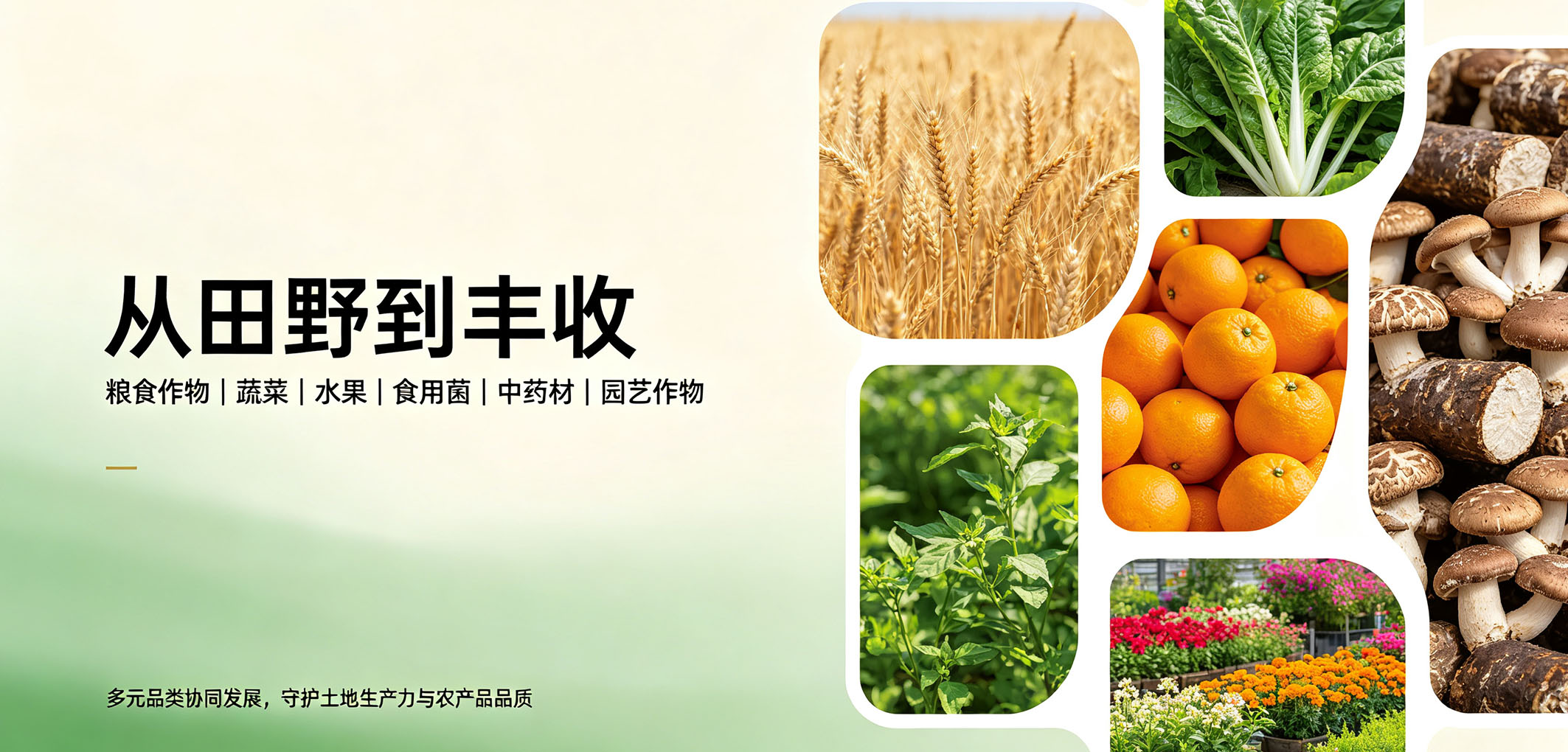 暂无图片