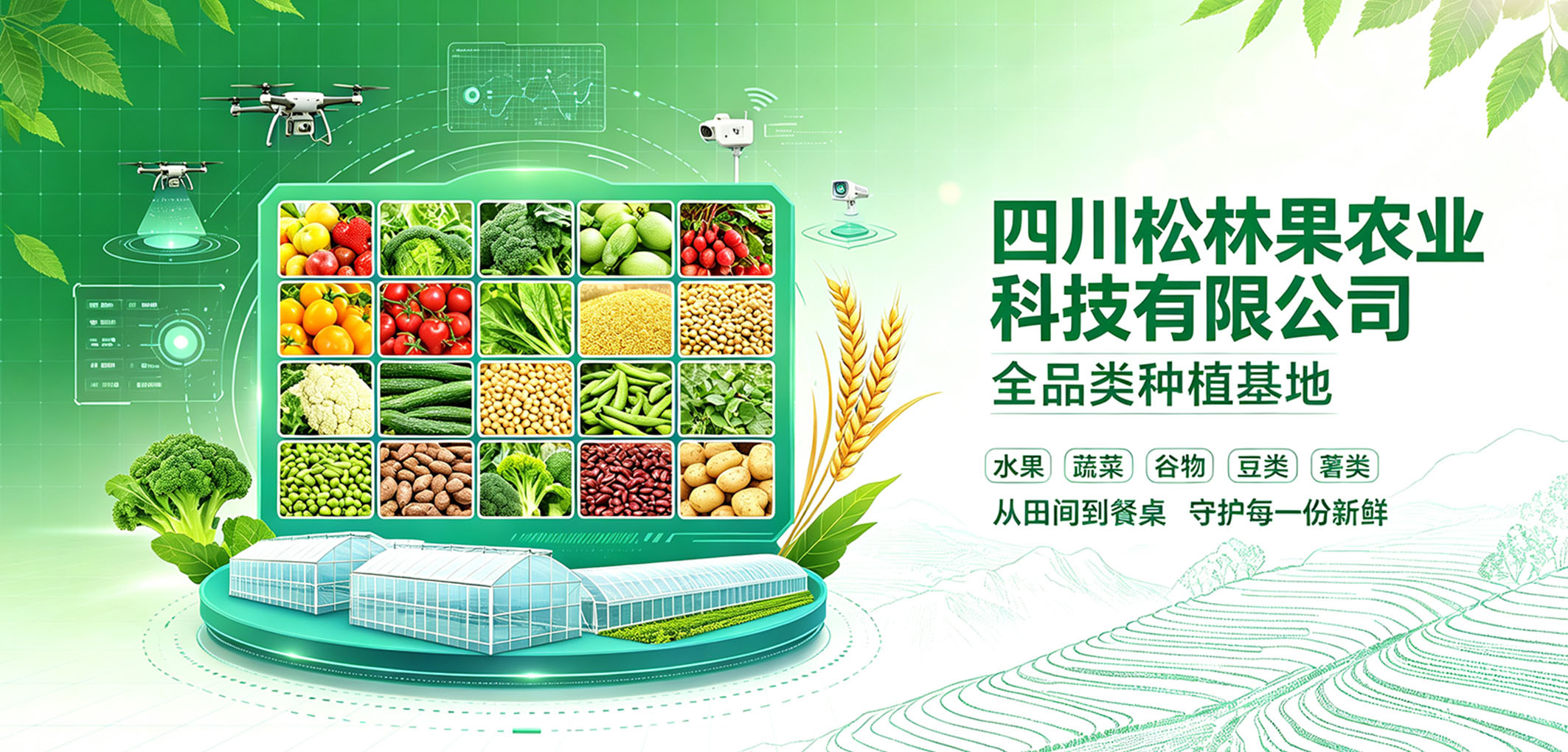 暂无图片