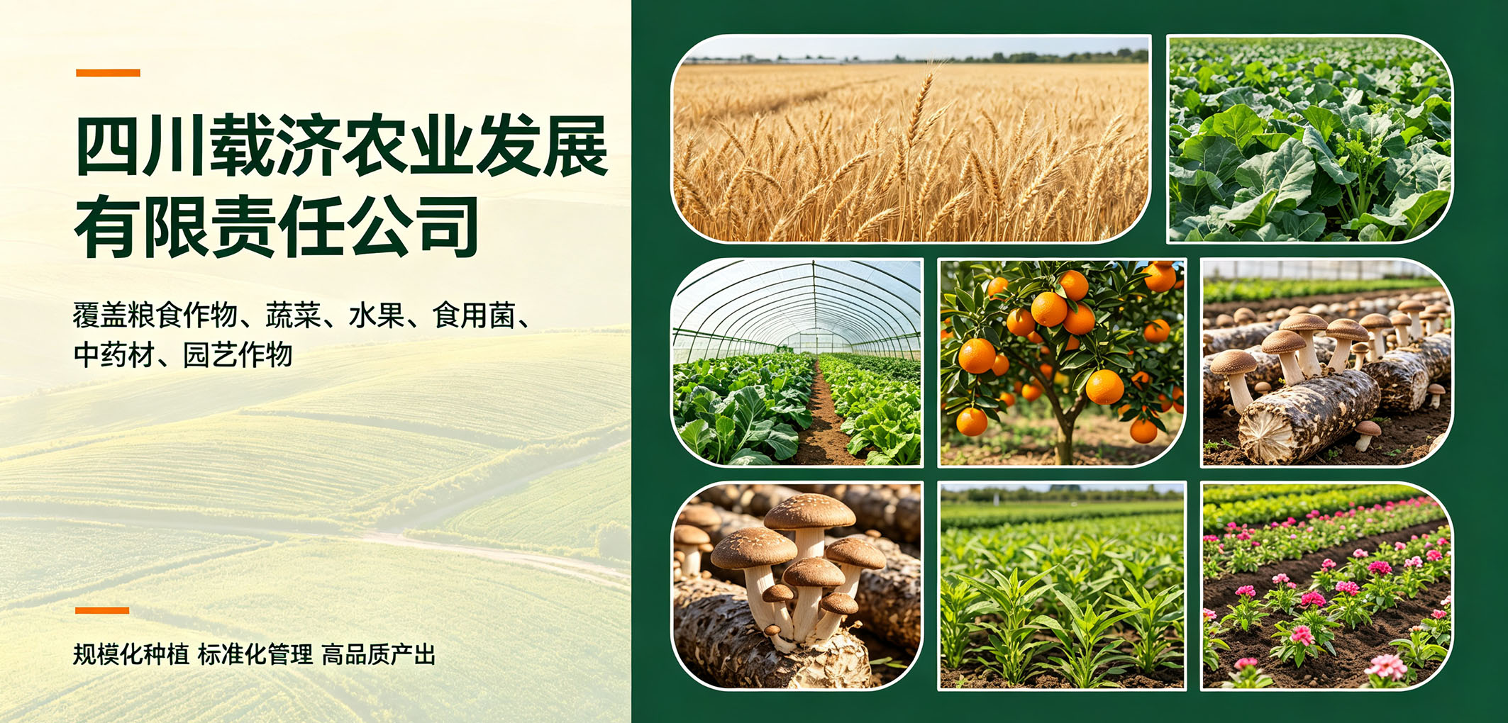 暂无图片
