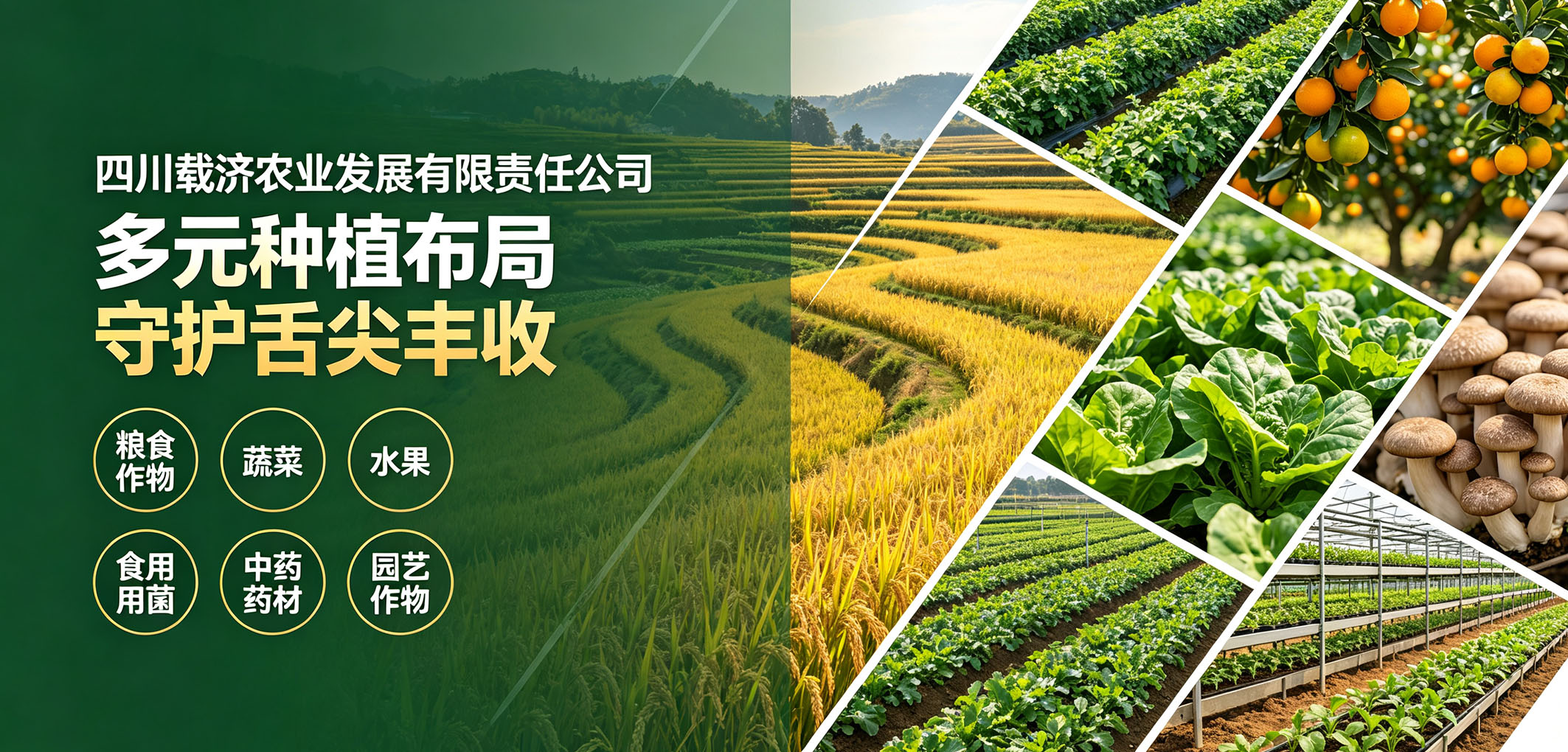 暂无图片