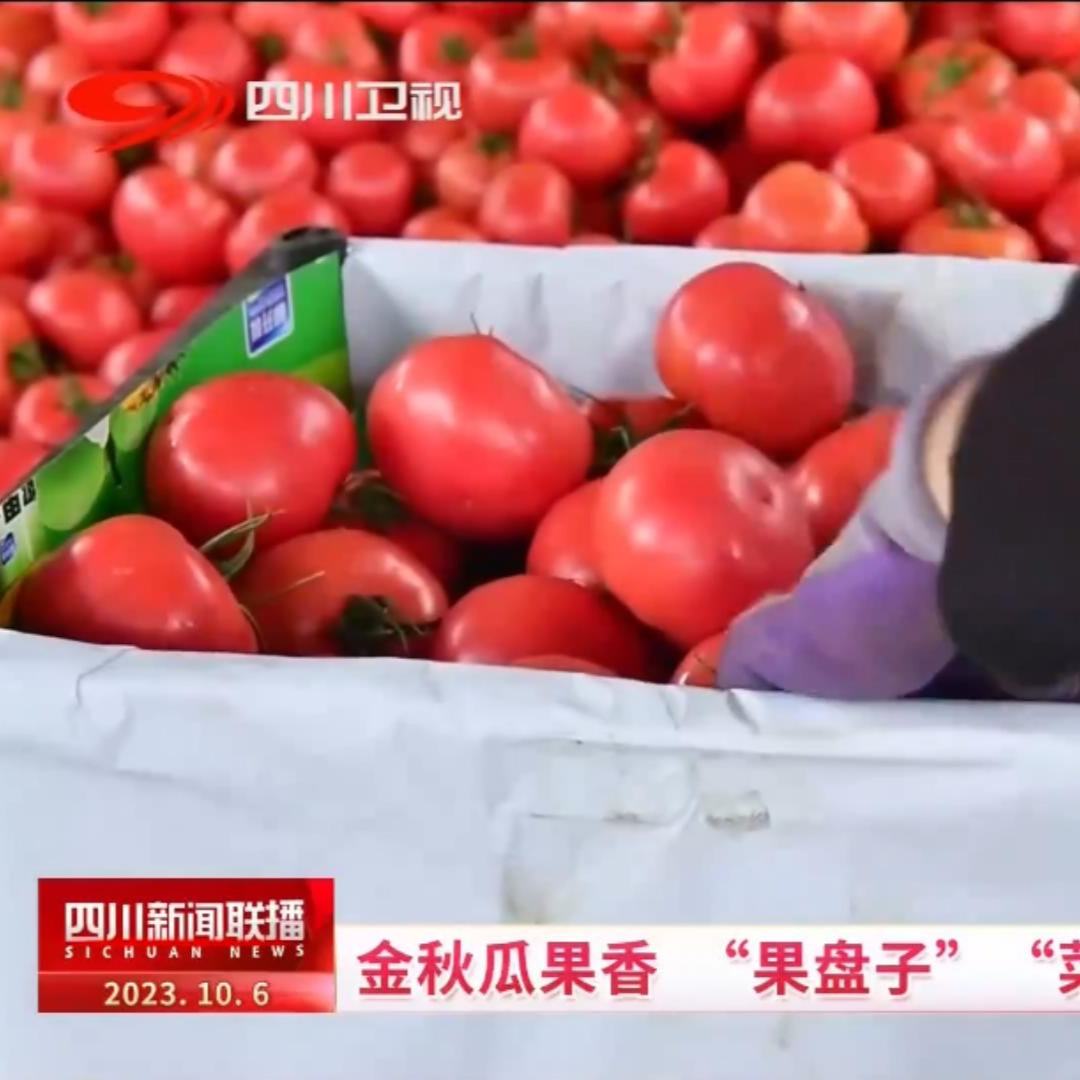 德阳农业产业平台——金秋瓜果香 “果盘子”“菜篮子”上新！