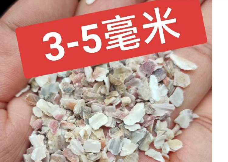 贝壳