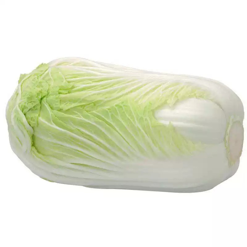新鲜黄心大白菜小白菜小青菜可做辣白菜酸菜包心菜黄心菜抱头白